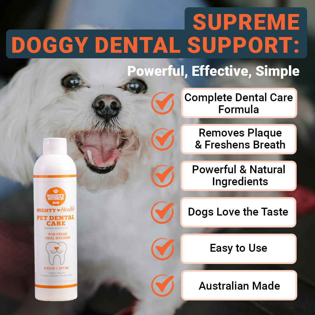 Dental Care Plus